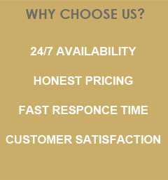 why choose us